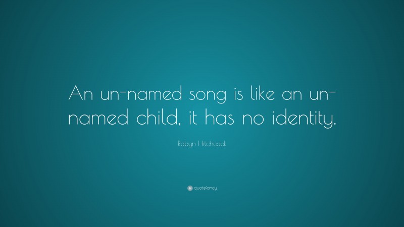 Robyn Hitchcock Quote: “An un-named song is like an un-named child, it has no identity.”