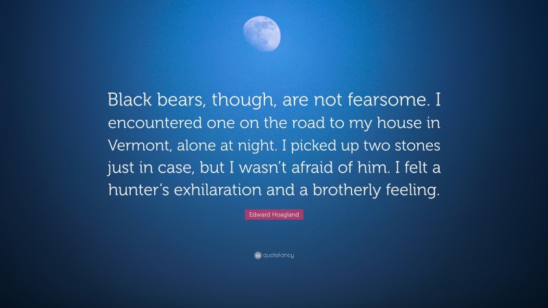 Edward Hoagland Quote: “Black bears, though, are not fearsome. I encountered one on the road to my house in Vermont, alone at night. I picked up two stones just in case, but I wasn’t afraid of him. I felt a hunter’s exhilaration and a brotherly feeling.”