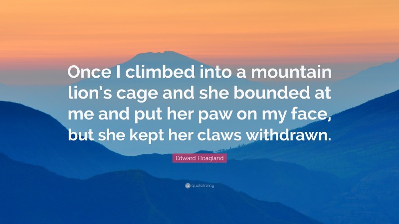 Edward Hoagland Quote: “Once I climbed into a mountain lion’s cage and she bounded at me and put her paw on my face, but she kept her claws withdrawn.”