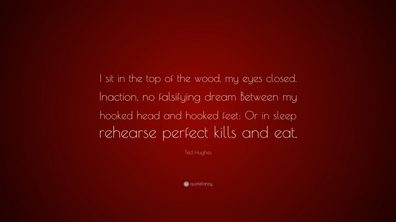 Ted Hughes Quote: “I sit in the top of the wood, my eyes closed. Inaction, no falsifying dream Between my hooked head and hooked feet: Or in sleep rehearse perfect kills and eat.”