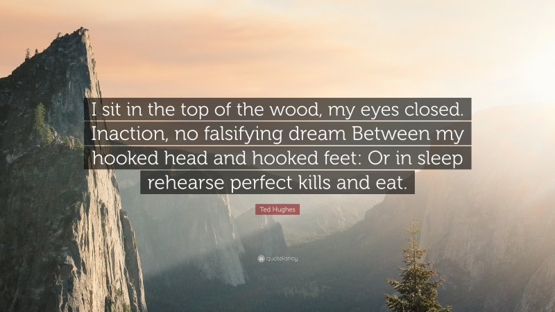 Ted Hughes Quote: “I sit in the top of the wood, my eyes closed. Inaction, no falsifying dream Between my hooked head and hooked feet: Or in sleep rehearse perfect kills and eat.”