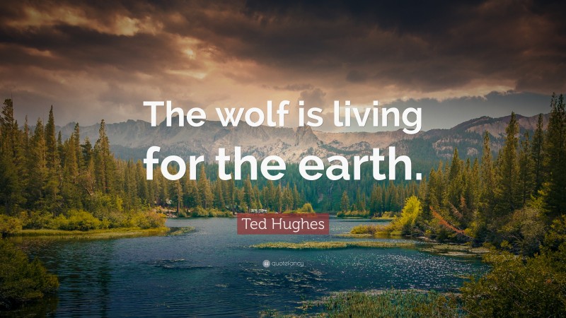 Ted Hughes Quote: “The wolf is living for the earth.”