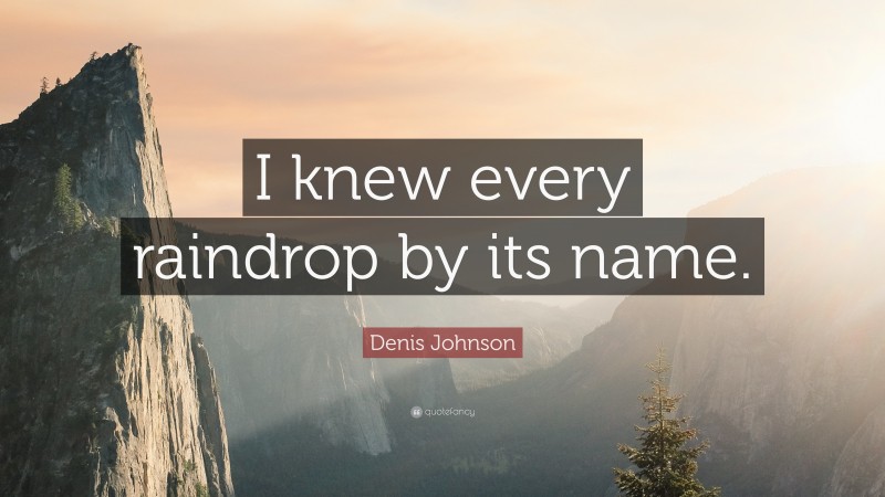 Denis Johnson Quote: “I knew every raindrop by its name.”