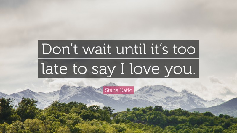 Stana Katic Quote: “Don’t wait until it’s too late to say I love you.”