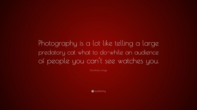 Dorothea Lange Quote: “Photography is a lot like telling a large predatory cat what to do-while an audience of people you can’t see watches you.”