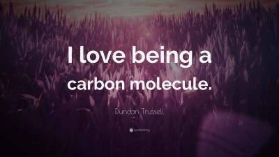 Duncan Trussell Quotes