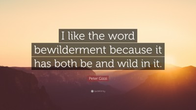 Peter Gizzi Quotes