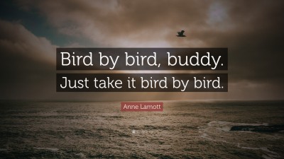 Anne Lamott Bird By Bird Quotes Anne Lamott Quote: “Bird By Bird, Buddy. Just Take It Bird By Bird.”