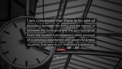 Jean Piaget Quote I am convinced that there is no sort of