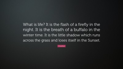 Crowfoot Quote: “What is life? It is the flash of a firefly in the ...