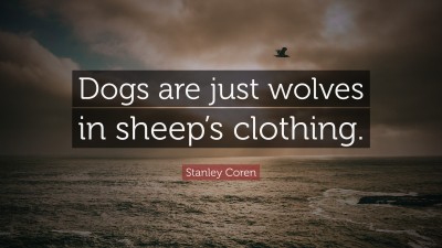 Stanley Coren Quotes