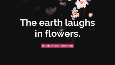 Spring Quotes