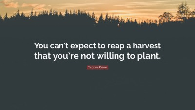 Yvonne Pierre Quotes