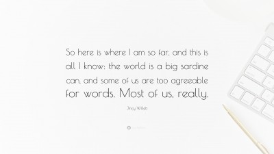 Jincy Willett Quotes