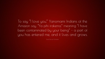 David Servan-Schreiber Quotes