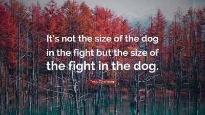 Tess Gerritsen Quotes