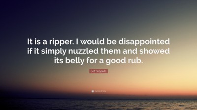 Jeff Salyards Quotes