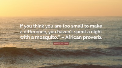 Mzilikazi wa Afrika Quotes