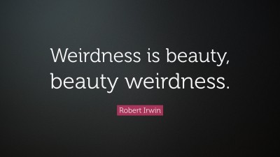 Robert Irwin Quotes