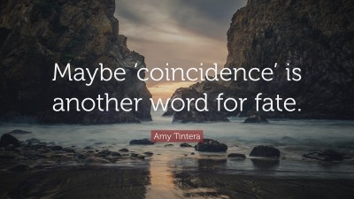 Amy Tintera Quotes