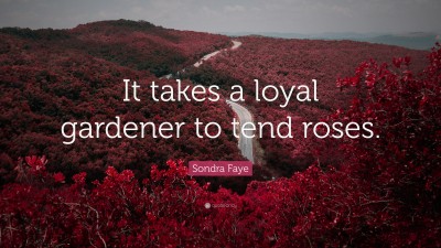 Sondra Faye Quotes