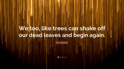 A.Y. Greyson Quotes