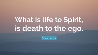 Vivian Amis Quotes