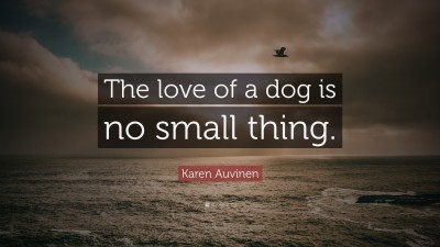 Karen Auvinen Quotes
