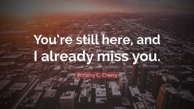 Brittainy C. Cherry Quotes