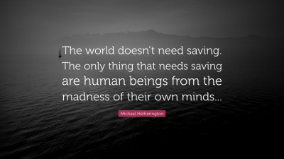 Michael Hetherington Quotes