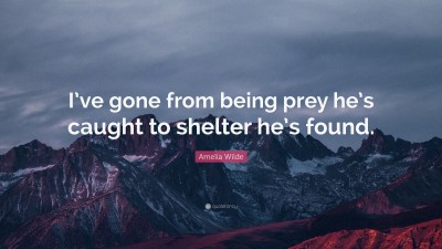 Amelia Wilde Quotes