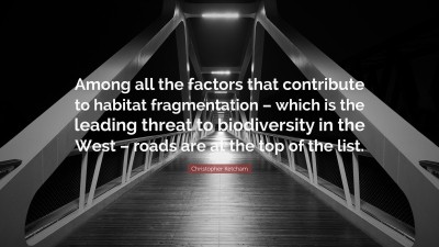 Christopher Ketcham Quotes