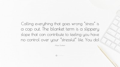 Allison Graham Quotes