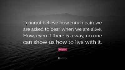 Amy Lin Quotes