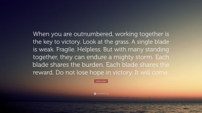 Lana Lazar Quotes